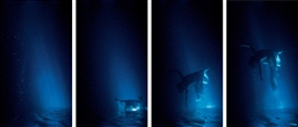 Bill Viola, Isolde's Ascension (The Shape of Light in the Space After Death)
