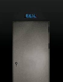 Adel Abdessemed, Exit