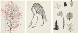 Merce Cunningham , Untitled (Crane and Plant Life)