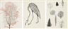 Merce Cunningham , Untitled (Crane and Plant Life)