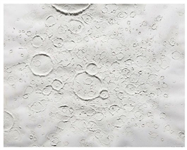 Roxy Paine, Untitled (Craters)