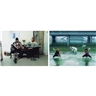 Cao Fei, AH MING AT HOME; TUSSLE (COS PLAYERS SERIES) [TWO WORKS]