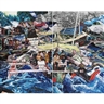 Jin Meyerson, RAFT