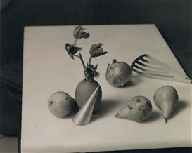 Jan Groover, Untitled, 1983