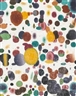 Polly Apfelbaum, Seeing Spots