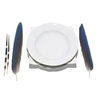 Lothar Baumgarten, Dish