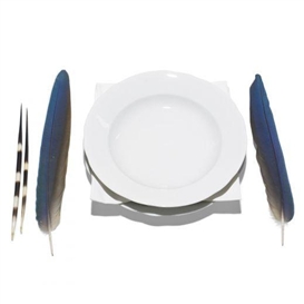 Lothar Baumgarten, Dish