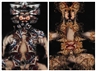 Ramin Haerizadeh, Theatre Group Series #16 & #21