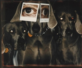 Daniel & Geo Fuchs, Famous eyes 'William Wegman'