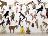 Shelf Life - Haifa Museum of Art