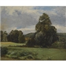 Lionel Bicknell Constable, VIEW OF THE ENTRANCE TO FEN LANE