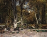 László Paál, BIRCH FOREST WITH FAGGOT GATHERER