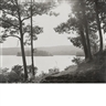 Ray Mortenson, Group of three images, Beaver Camp (I and II); Spring Lake