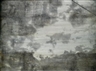 Eva Schlegel, Untitled