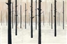 Charles Avery, The Eternal Forest from the Ghost of Scirribin