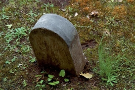 Ryan Gander, Milestone