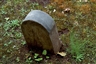 Ryan Gander, Milestone