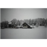 Stefan Banz, LANDSCHAFT
