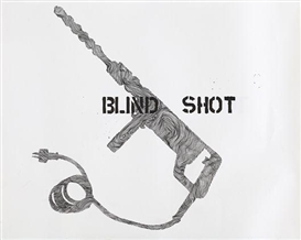 Monica Bonvicini, Blind Shot