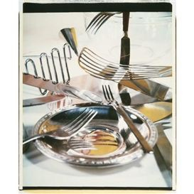 Jan Groover, FOUR WORKS: STILL LIFE STUDIES