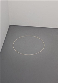 Kris Martin, Idiot VII