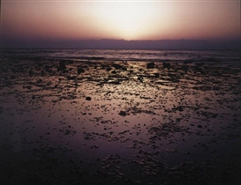 Neil Folberg, Two works: Sunrise from Ras-Burka, Sinai, 1980; Acacia and Black Dike, Wadi Araim, Sinai, 1979