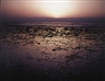 Neil Folberg, Two works: Sunrise from Ras-Burka, Sinai, 1980; Acacia and Black Dike, Wadi Araim, Sinai, 1979