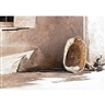 Andrew Wyeth, Monday Morning