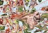 Jin Meyerson, Friendly Fire