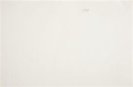 Walter De Maria, Green Castle with Ships