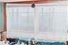 Richard Billingham, Untitled
