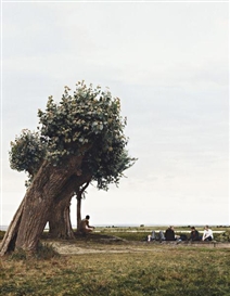 Beate Gütschow, LS#13, 2001