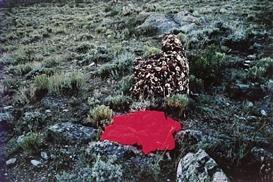 Beverly Semmes, Red in the landscape (side view)