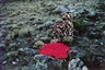 Beverly Semmes, Red in the landscape (side view)