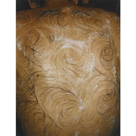 Mona Hatoum, Van Gogh’s Back