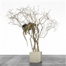 Mark Dion, Hommage a Jean-Henri Fabre, Experiments with Necrophorus