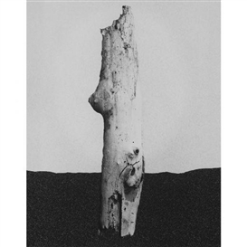Peter Campus, Stick