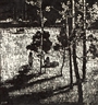 Zheng Zhen, FOREST