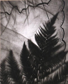Edmund Teske, Untitled (Composite: Leaf and handkerchief)