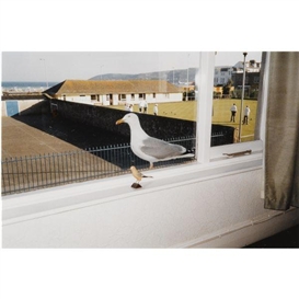 Mona Hatoum, Birds of a Feather II