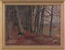 Arthur E. Becher, wooded lands
