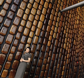 Isaac Julien, Chameleon (Ten Thousand Waves)