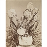 Louis Comfort Tiffany, VASE WITH IRISES