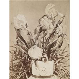 Louis Comfort Tiffany, VASE WITH IRISES