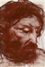 Pietro Annigoni, Head of a Bearded Man