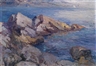 Unknown , Coastal Landscape