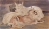 Norbertine Von Bresslern-Roth, Goats