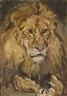 Carl Fahringer, Lion