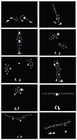 Shadi Ghadirian, 10 WORKS: CTRL, ALT, DELETE