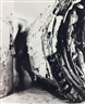 Santiago Sierra, 2 cylinders each measuring 250 X 250 cm, composed of posters that have been torn down